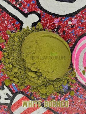 White Borneo
